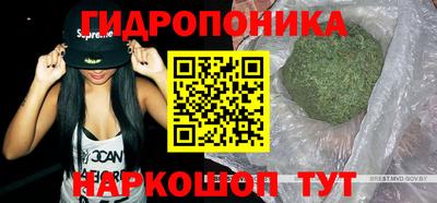 стаф Коммунар