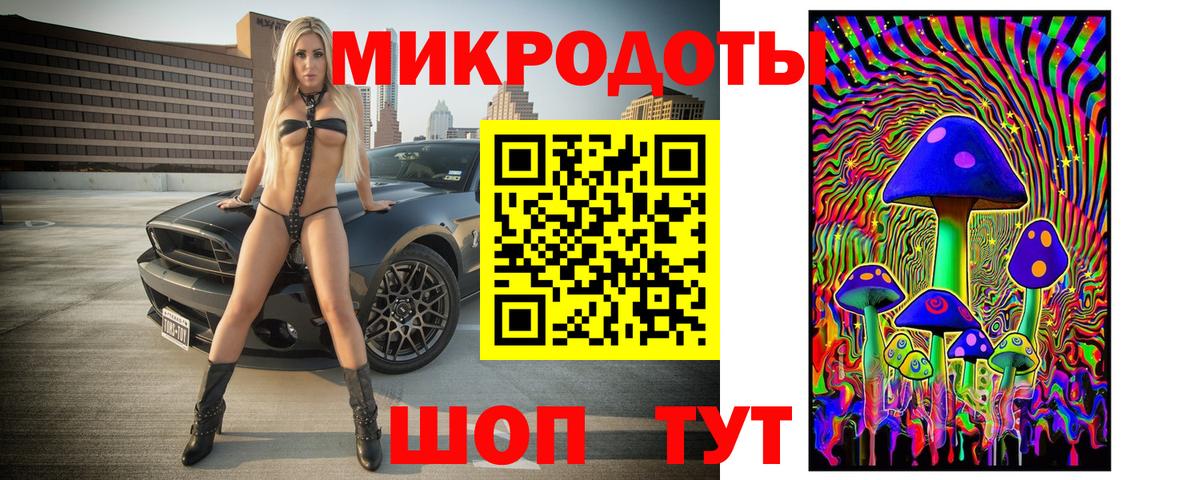Галлюциногенные грибы Psilocybine cubensis Кизилюрт