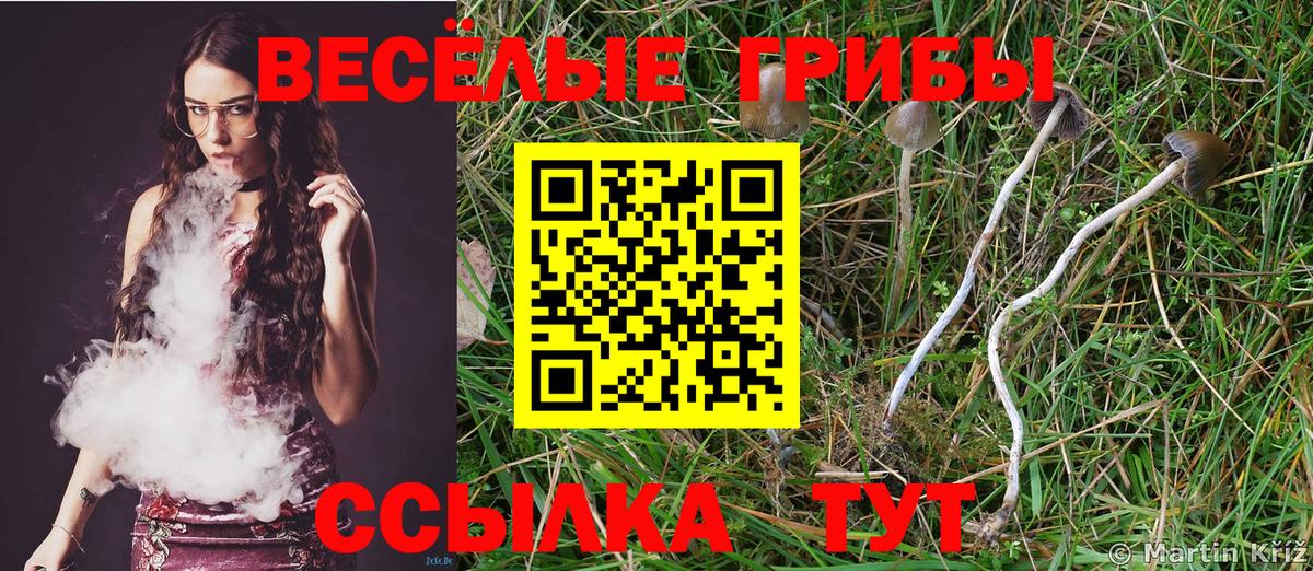 Кизилюрт  Галлюциногенные грибы мицелий  Псилоцибиновые грибы Cubensis  даркнет сайт  Вход с VPN 